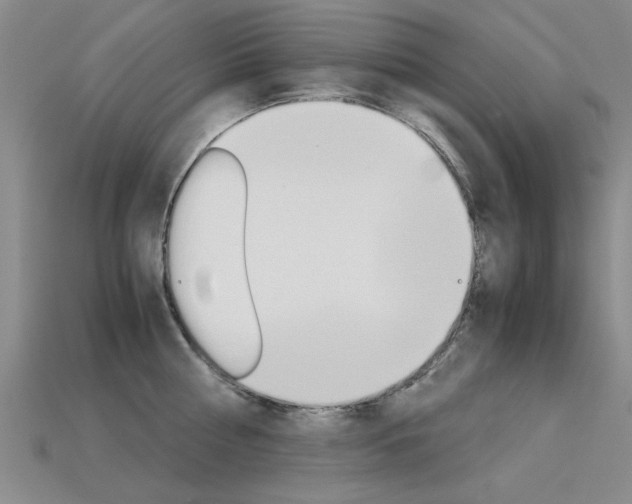 X0000113600810200909181107