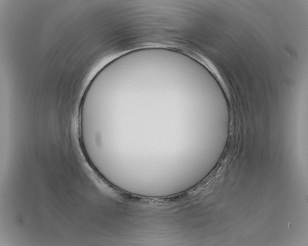 X0000113600811200909181107