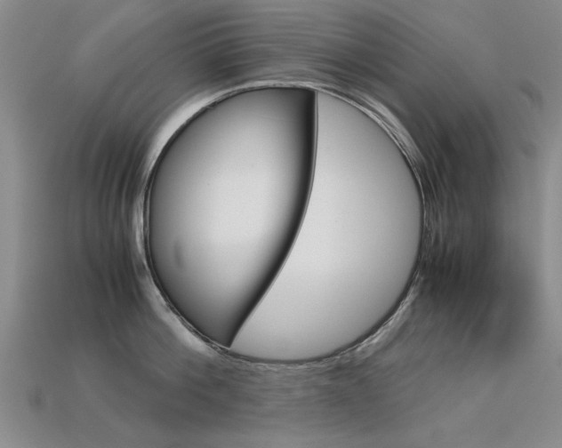 X0000113600812200909181107