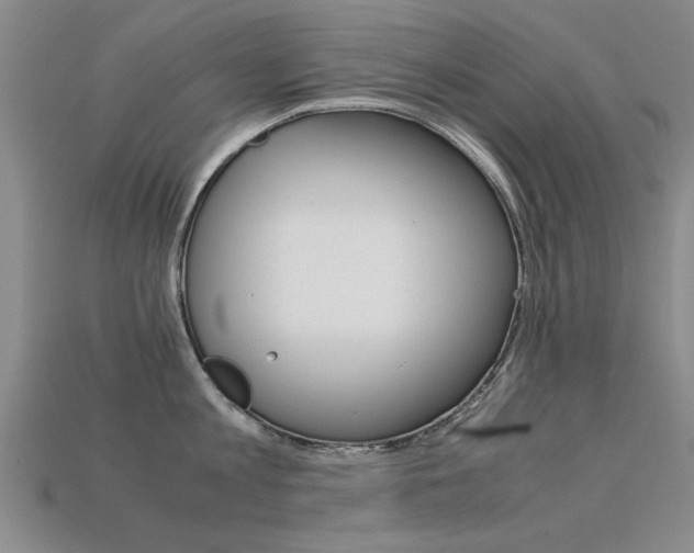 X0000113600813200909181107