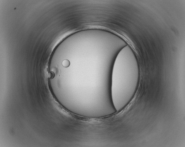 X0000113600814200909181107