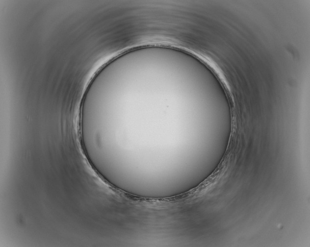 X0000113600815200909181107