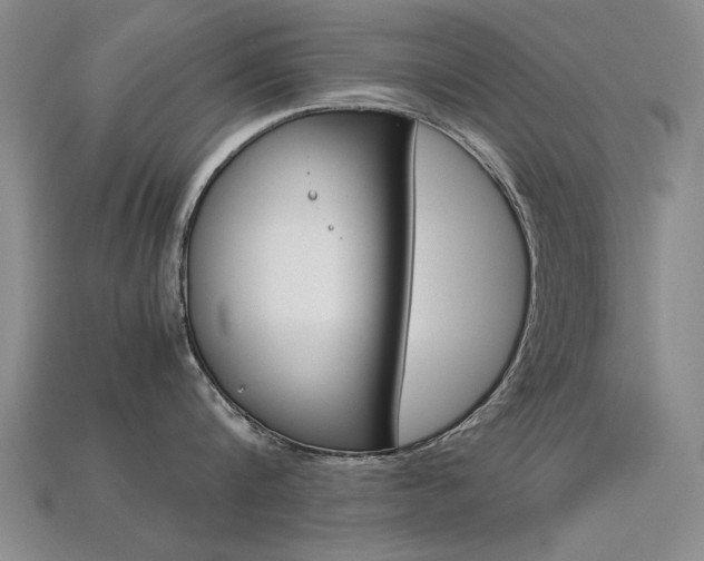 X0000113600816200909181107