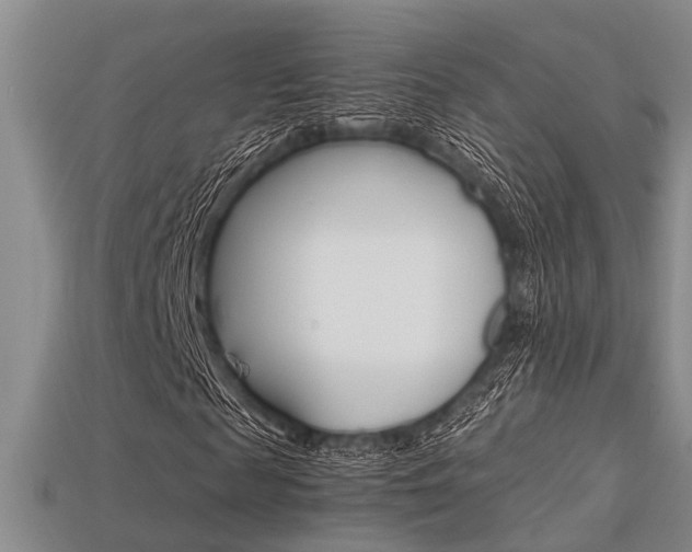 X0000113600817200909181107