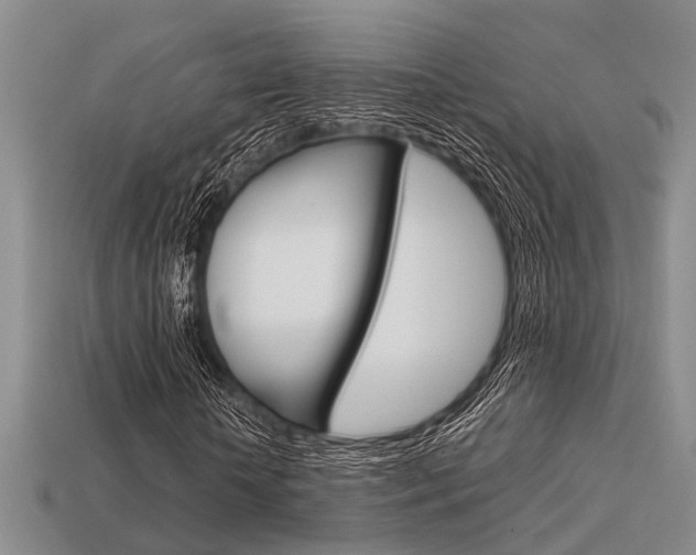 X0000113600818200909181107