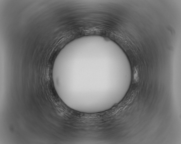 X0000113600819200909181107