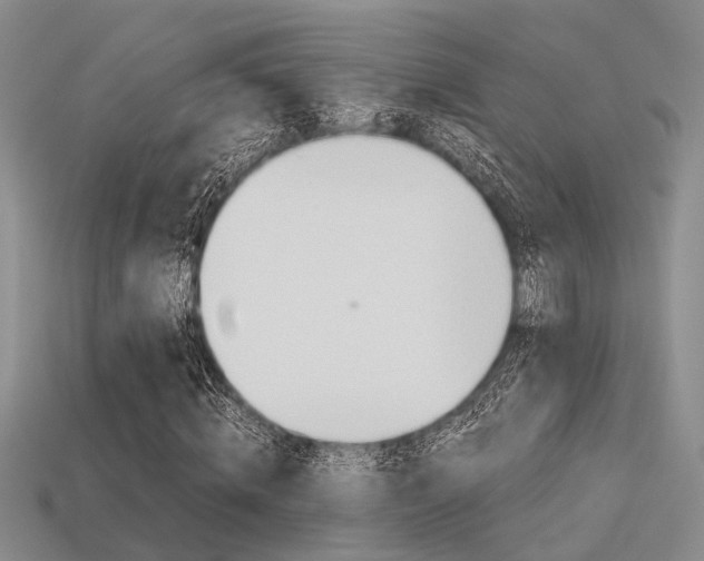 X0000113600820200909181107