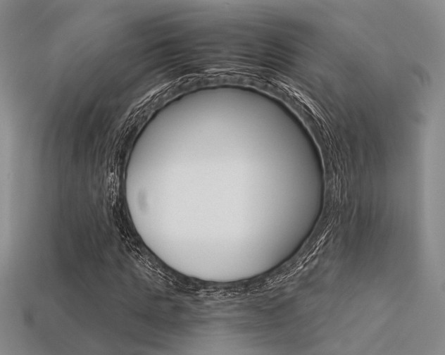 X0000113600821200909181107