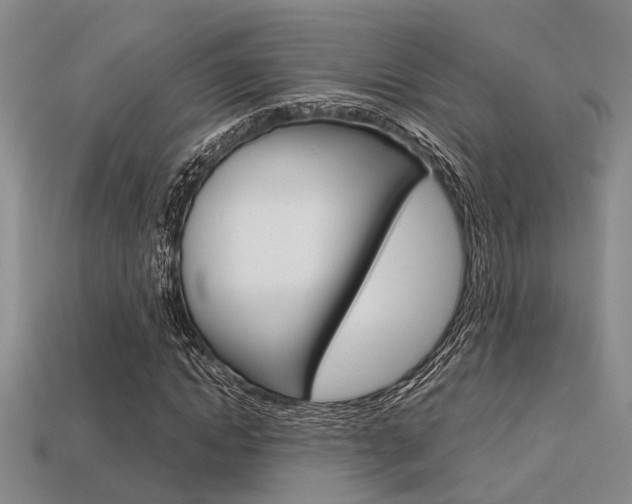 X0000113600822200909181107