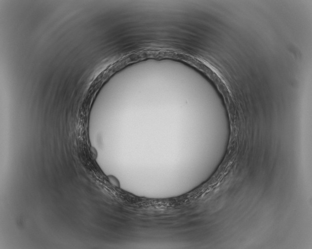 X0000113600823200909181107