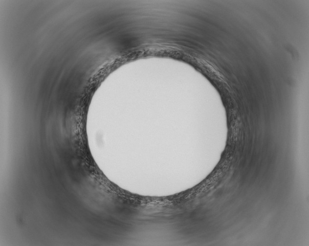 X0000113600824200909181107