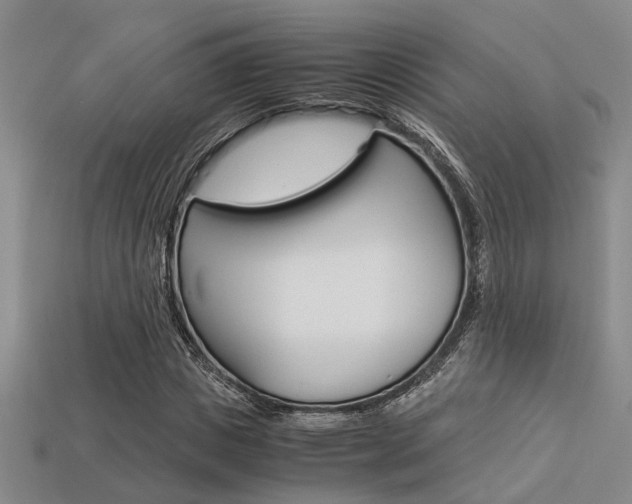 X0000113600825200909181107