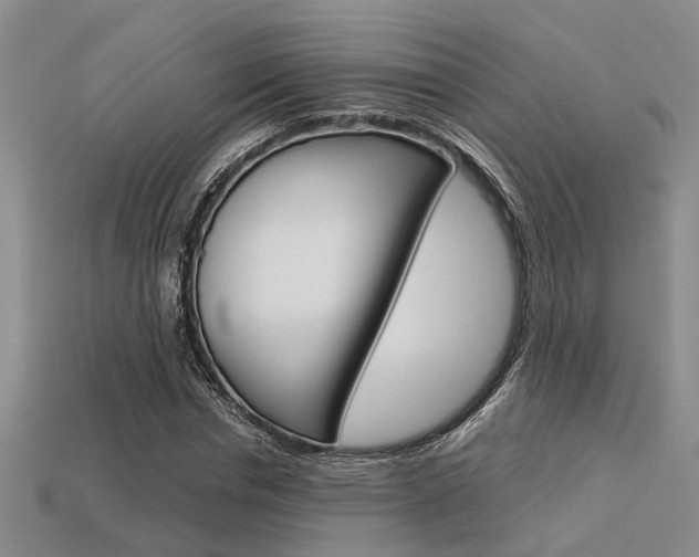 X0000113600826200909181107