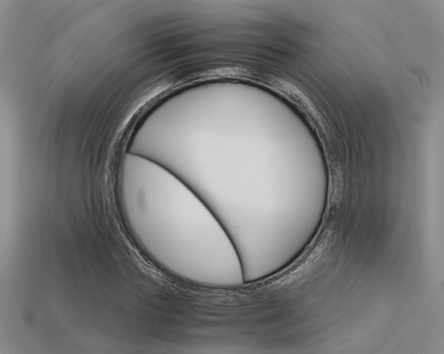 X0000113600827200909181107