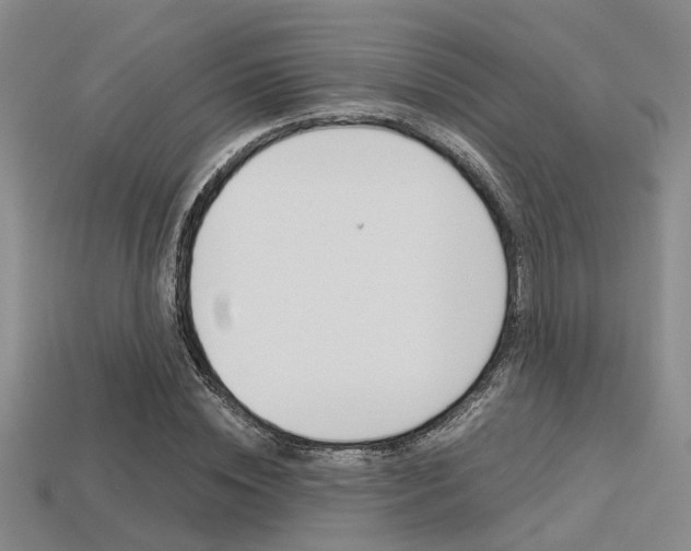 X0000113600828200909181107