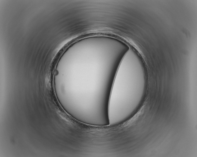X0000113600830200909181107