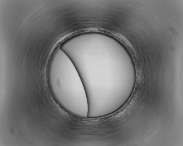 X0000113600831200909181107