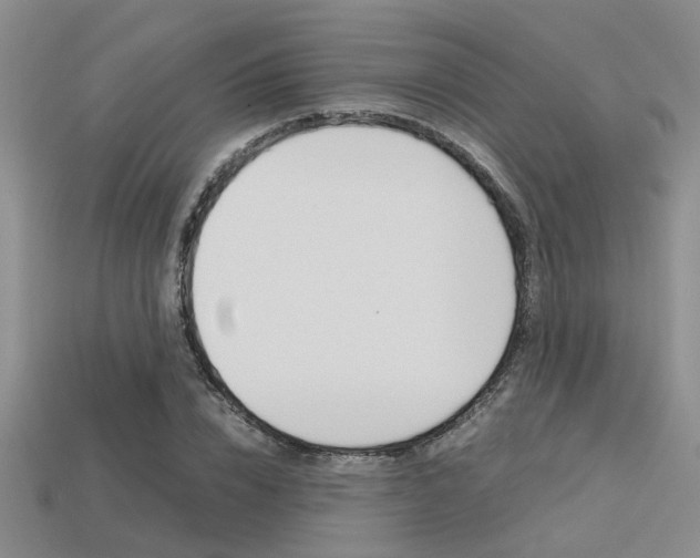X0000113600832200909181107