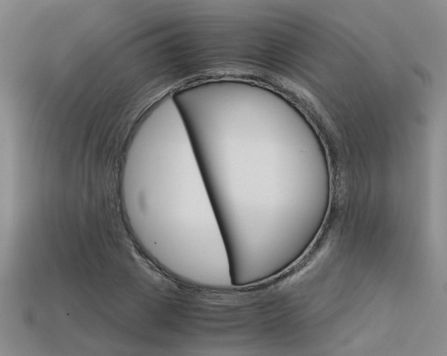 X0000113600833200909181107