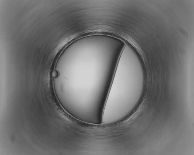 X0000113600834200909181107