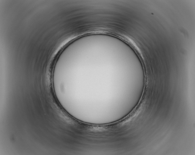 X0000113600835200909181107