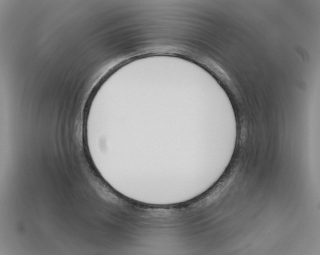 X0000113600836200909181107
