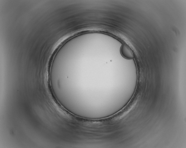 X0000113600837200909181107