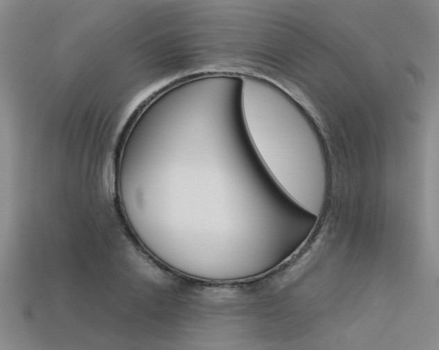 X0000113600838200909181107