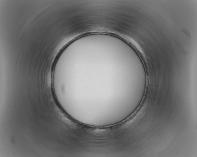 X0000113600839200909181107