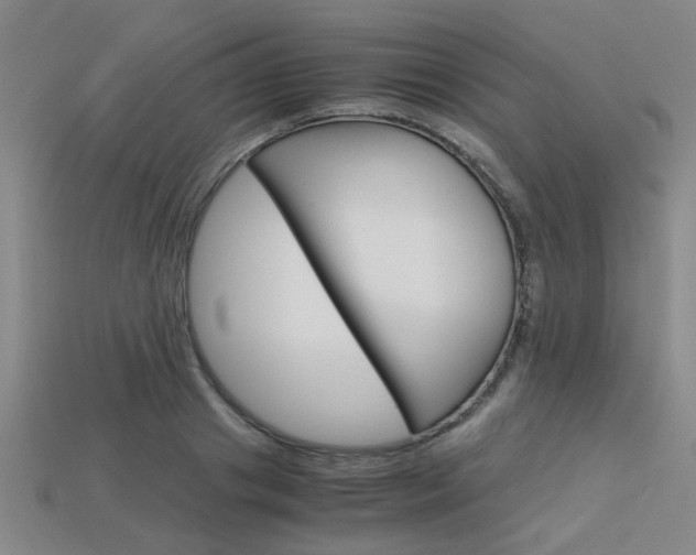 X0000113600841200909181107