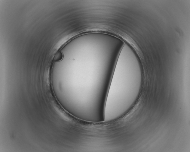 X0000113600842200909181107