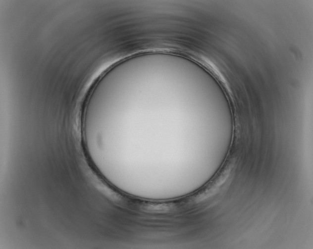 X0000113600843200909181107