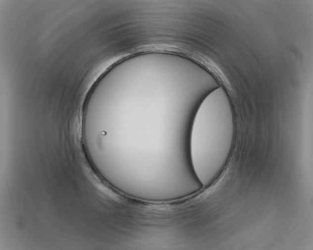 X0000113600844200909181107