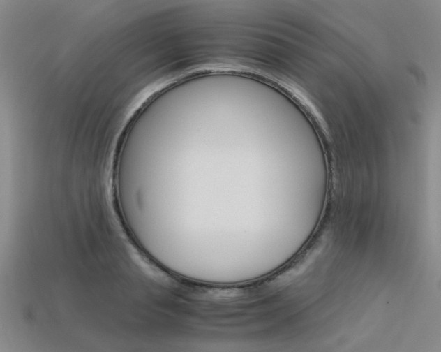 X0000113600845200909181107