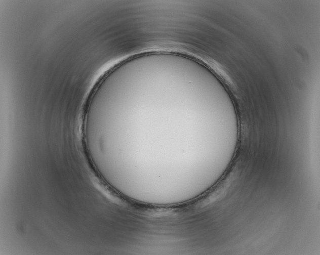 X0000113600846200909181107