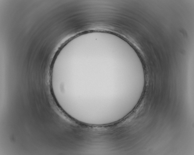 X0000113600848200909181107