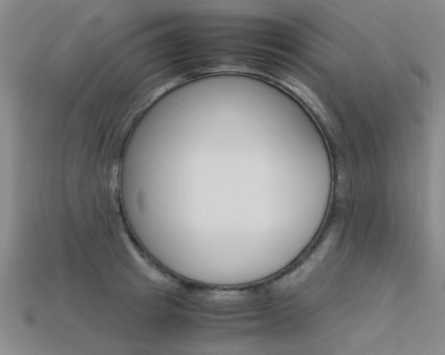 X0000113600849200909181107