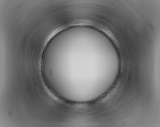 X0000113600850200909181107