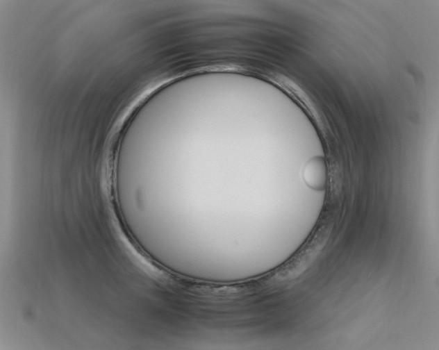 X0000113600851200909181107