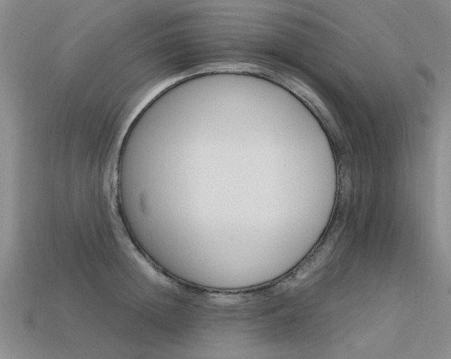 X0000113600852200909181107