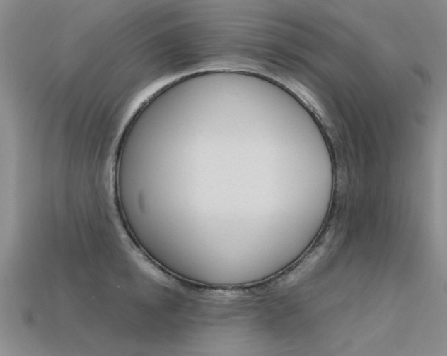 X0000113600854200909181107