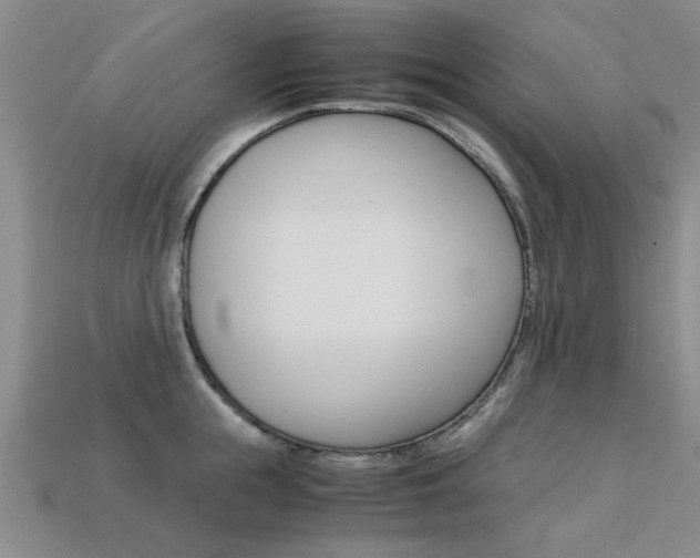 X0000113600855200909181107
