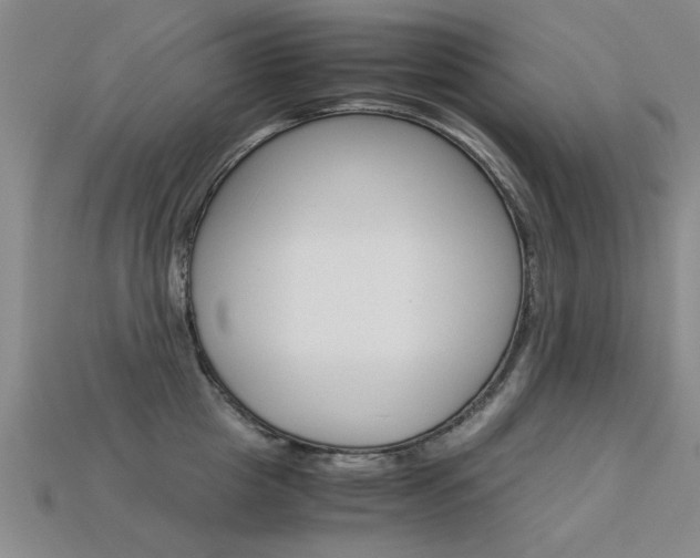 X0000113600857200909181107