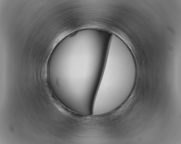 X0000113600858200909181107