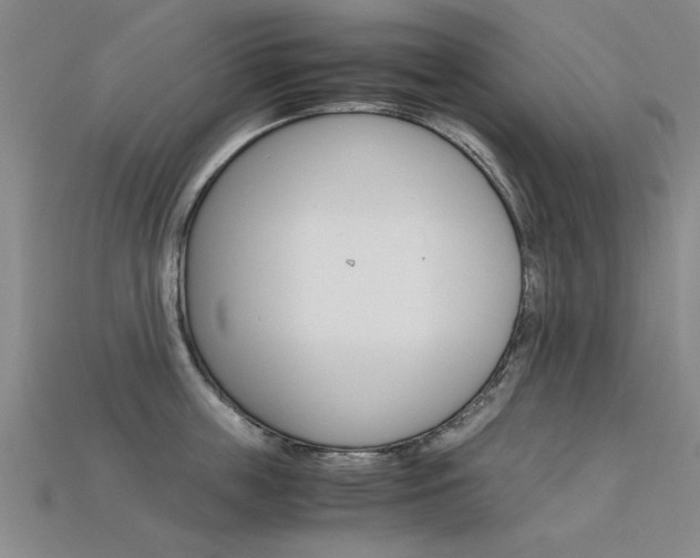 X0000113600859200909181107
