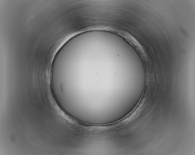 X0000113600860200909181107