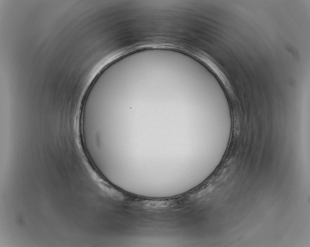 X0000113600861200909181107