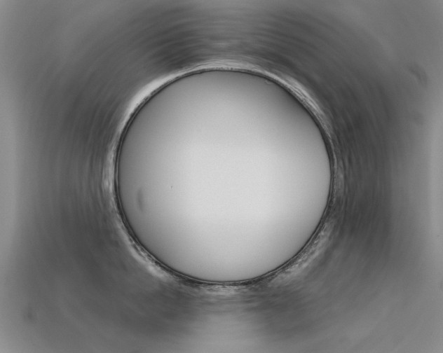 X0000113600862200909181107