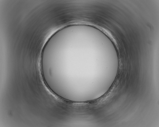 X0000113600863200909181107