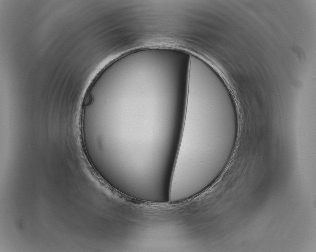 X0000113600864200909181107